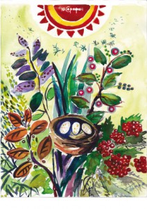 nosa_card_twp